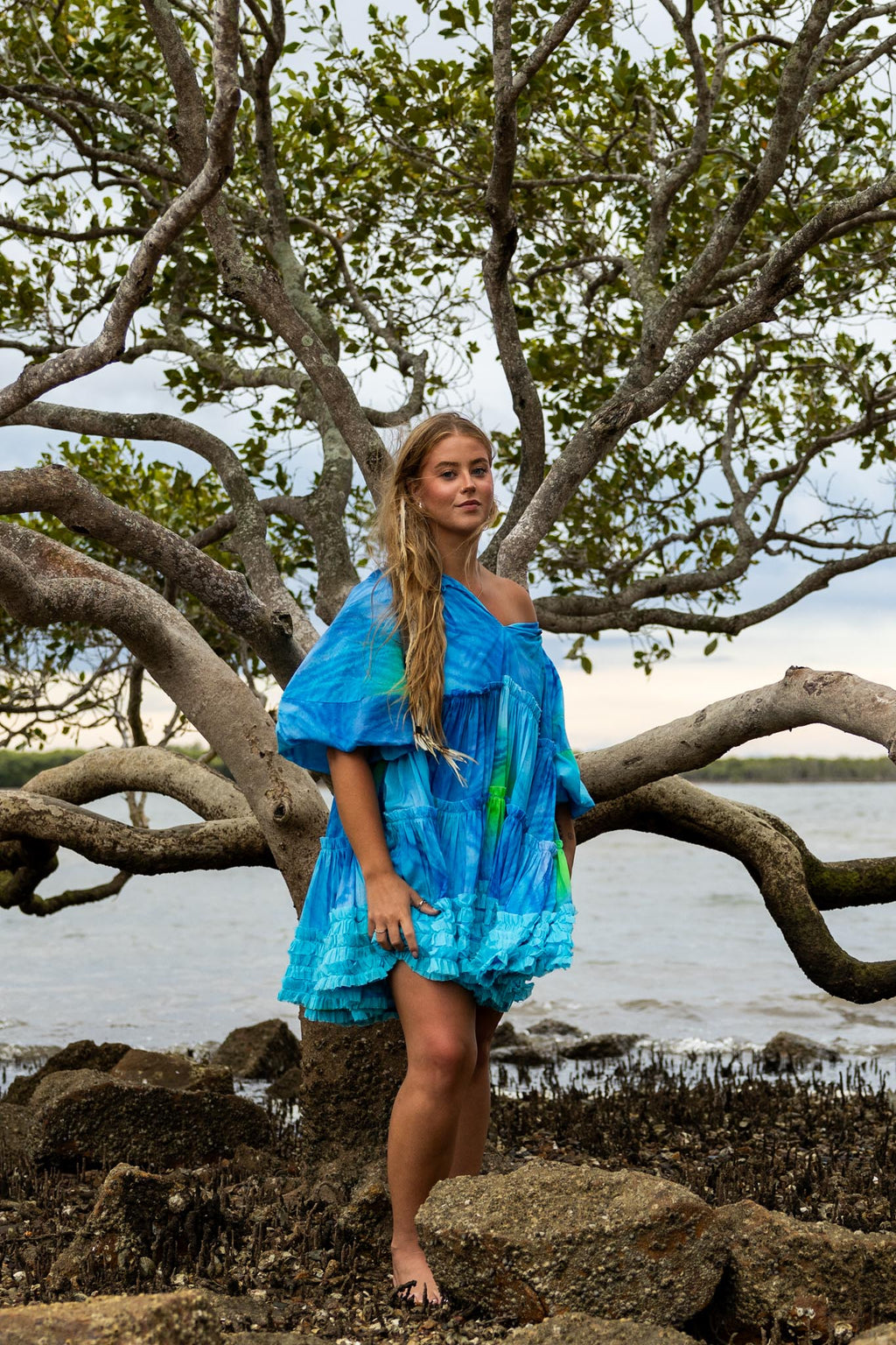 Blue Tiger Mini Dress