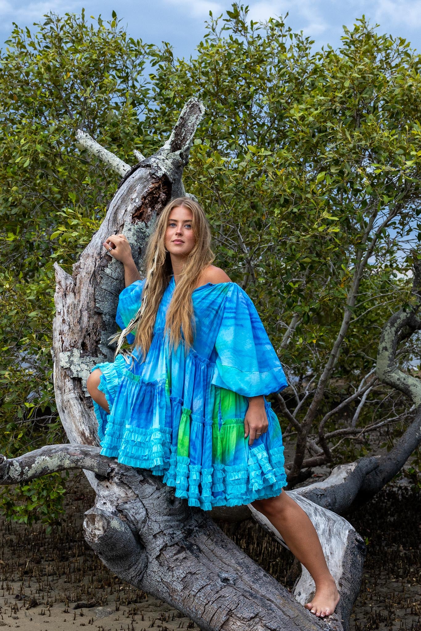 Blue Tiger Mini Dress