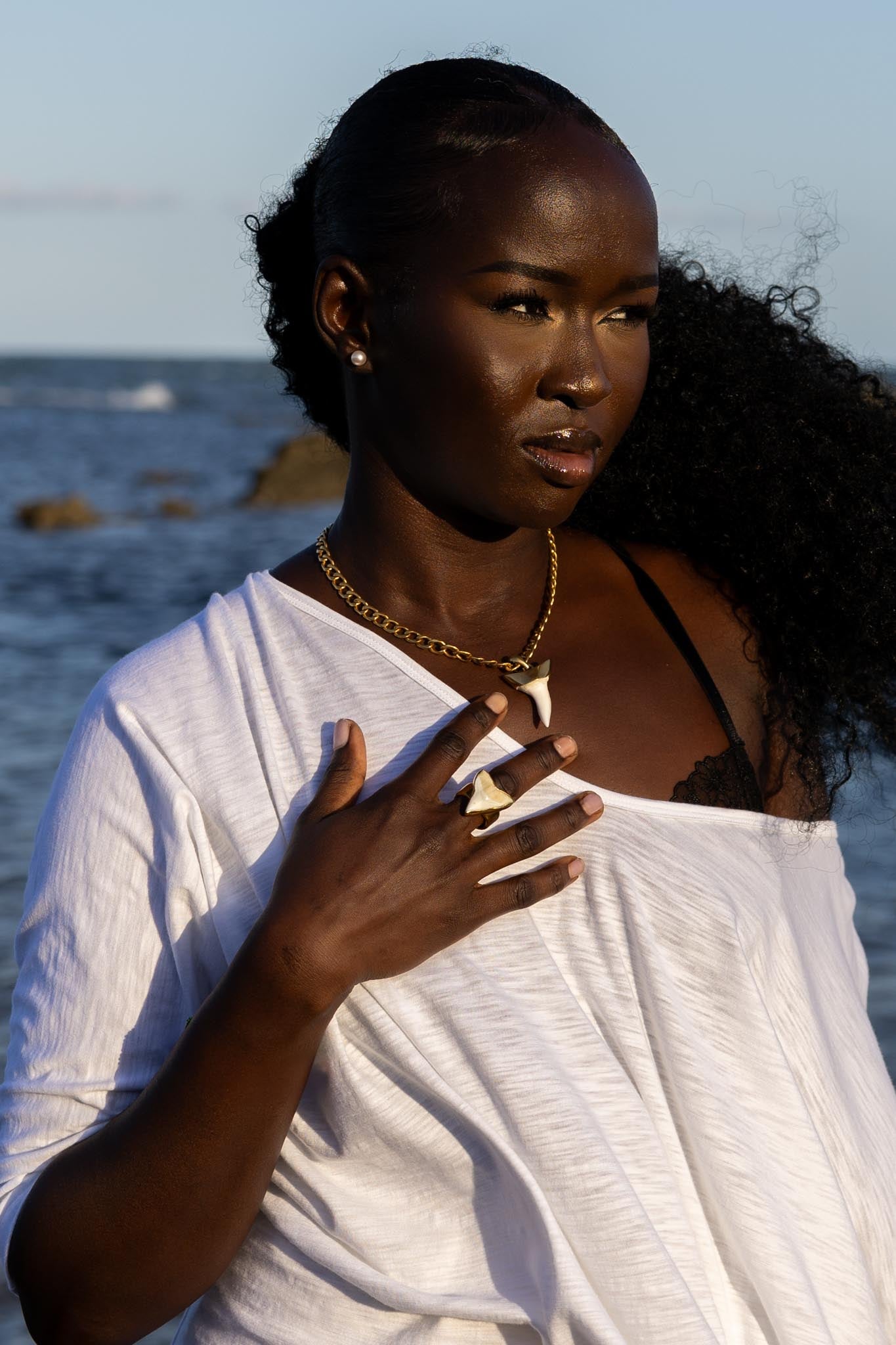 Front view of Zokkibee shark tooth ring with natural shark tooth set on finger band